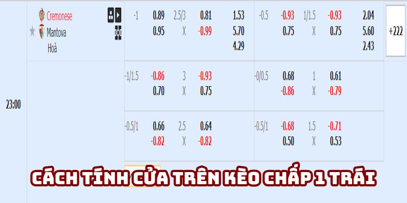 Cách tính tiền kèo chấp 1 trái cửa trên